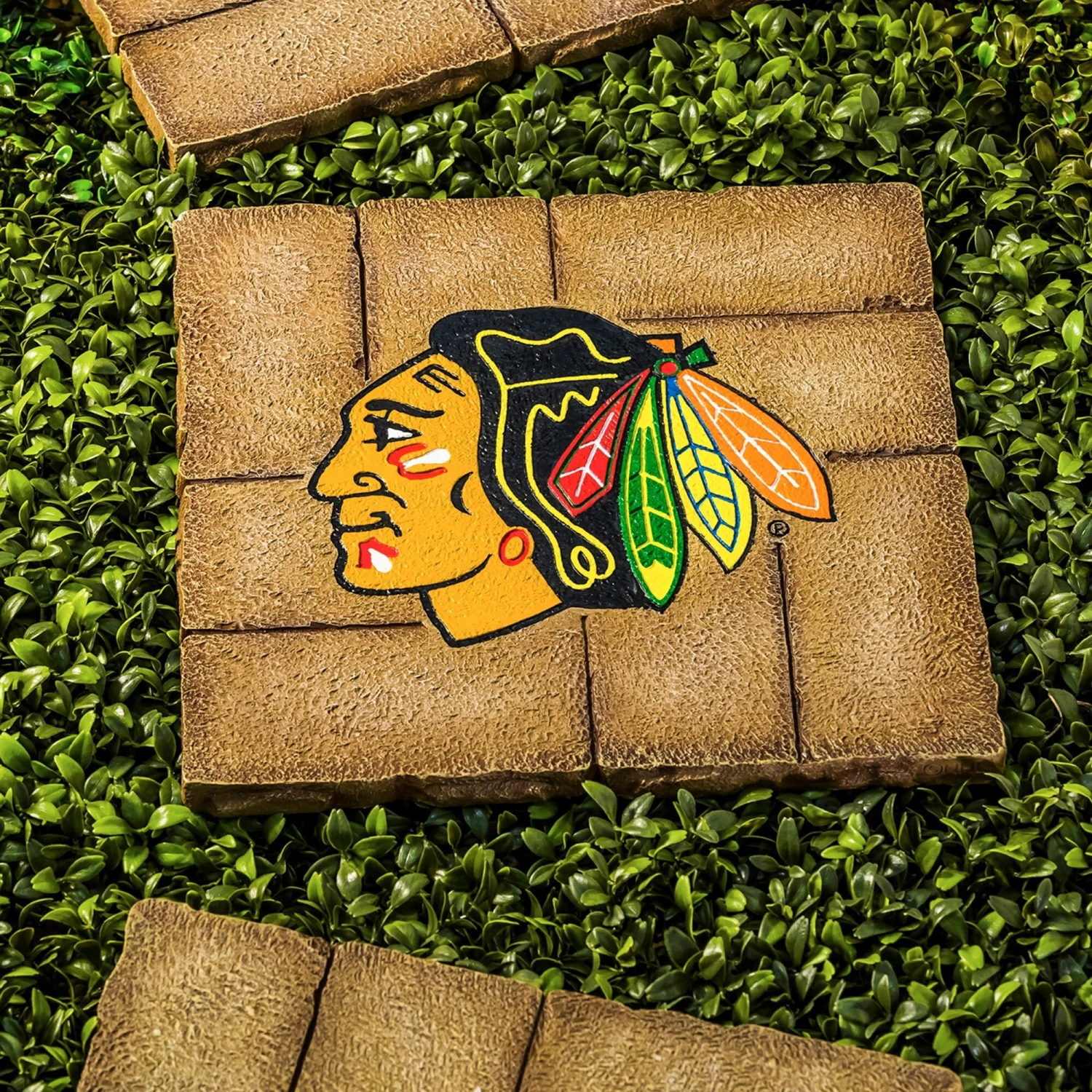 Team Sports America Chicago Blackhawks Decorative Garden Stepping Stone