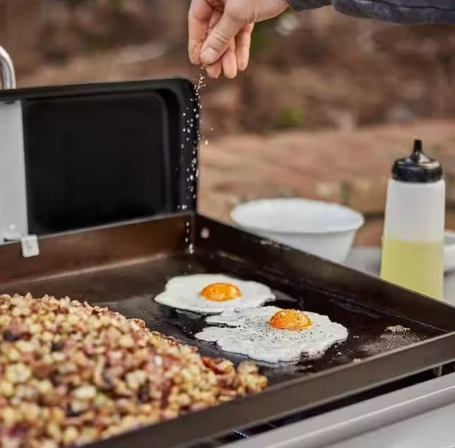 Weber 28" Griddle Liquid Propane Grill - Image 16