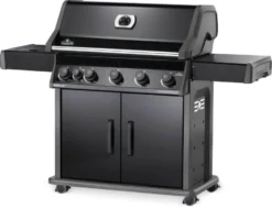 Napoleon Rogue® XT 625 Grill With Infrared Side Burner